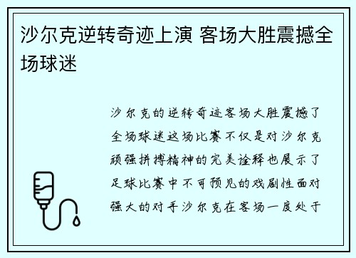 沙尔克逆转奇迹上演 客场大胜震撼全场球迷