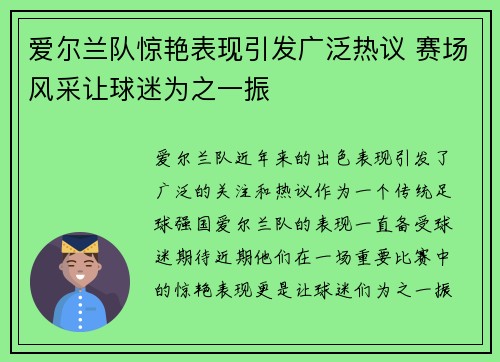 爱尔兰队惊艳表现引发广泛热议 赛场风采让球迷为之一振